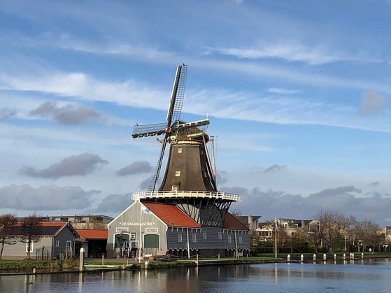 sawmill-de-salamander